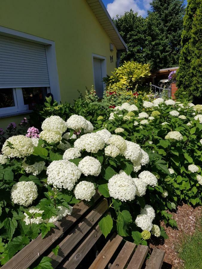 Ferienwohnung Lotte Nuthe-Urstromtal Экстерьер фото